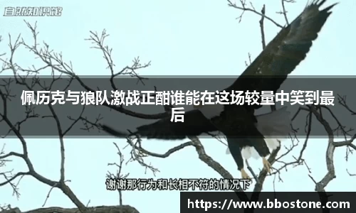佩历克与狼队激战正酣谁能在这场较量中笑到最后